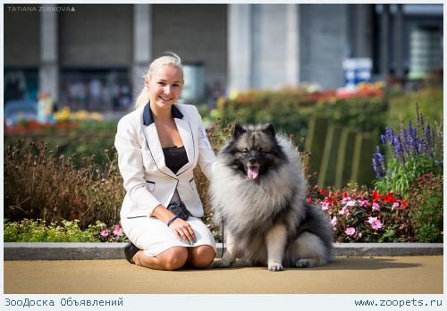 ����� ��������� (����������) � ��������� ���