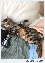 Маленькая фотография