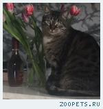 Маленькая фотография