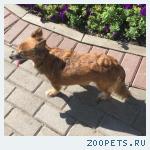 Маленькая фотография