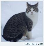 Маленькая фотография