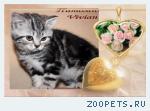 Британские мрамоные котята из питомника VIVIAN.
