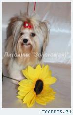 ����� ����, �����, ������  �������������� �����