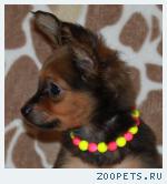 ���-������. �������������� � �������������� �����