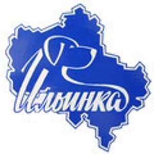 РОО ЦМОКС "Ильинка"