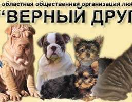 НОООЛЖ "Верный Друг"