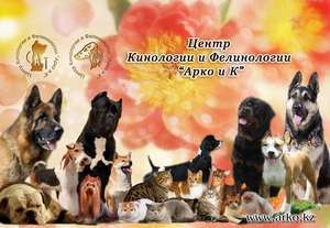 ОО Центр Кинологии и Фелинологии "АРКО и К"