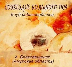 АООО КЛС "Созвездие Большого Пса"