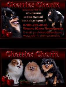 Черрис Чарм