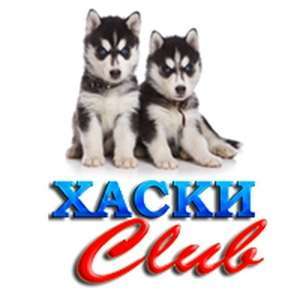 ХАСКИ КЛУБ