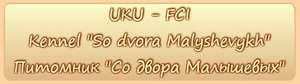 SO DVORA MALYSHEVYKH