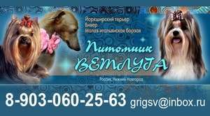 VETLUGA