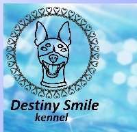 Destiny Smile