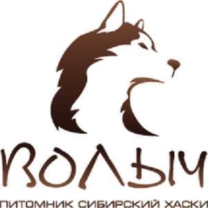 Волыч