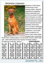 Собака, Родезийский риджбек