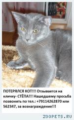кошка