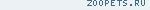 Кот,метис