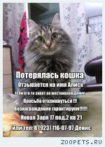 Кошка