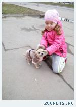 Собака
