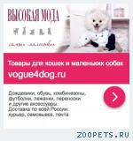 Продам готовый бизнес по зоотоварам. 