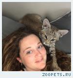 Красивые Канадские рыси и Европейские рыси