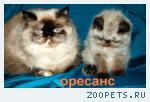 Приходите посмотрите ждём ВАС в гости господа