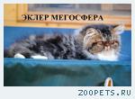 Роскошный перс