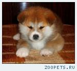 продаю
