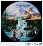 Бенгальские котята недорого.  